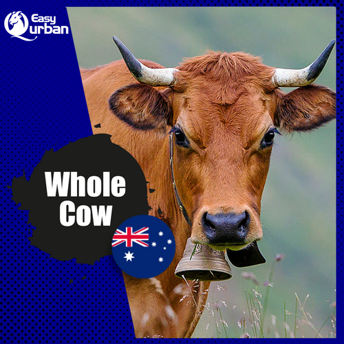 Qurban Australia - Cow - EasyQurban