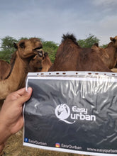 Load image into Gallery viewer, Qurban Mecca - Camel - EasyQurban